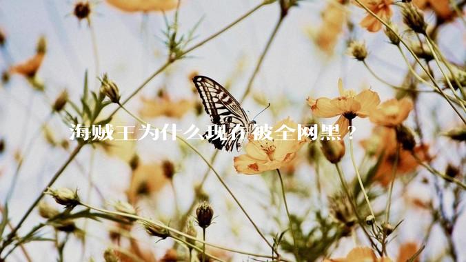 海贼王为什么现在被全网黑?