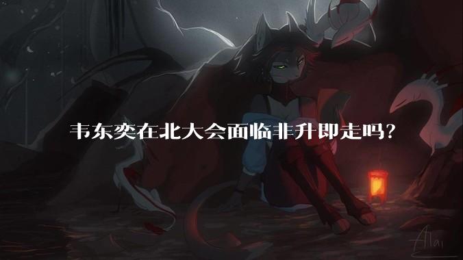 韦东奕在北大会面临非升即走吗？