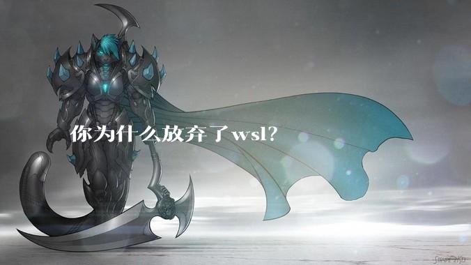 你为什么放弃了wsl？