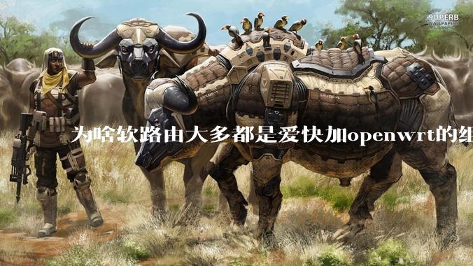 为啥软路由大多都是爱快加openwrt的组合，单openwrt有什么缺点嘛？