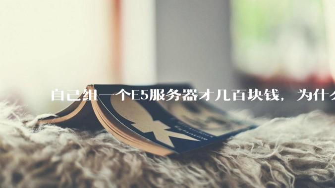 自己组一个E5服务器才几百块钱，为什么去阿里云租这么贵?