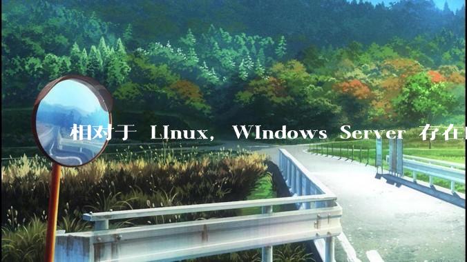 相对于 Linux，Windows Server 存在的意义是什么？