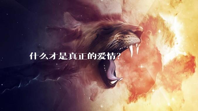 什么才是真正的爱情？