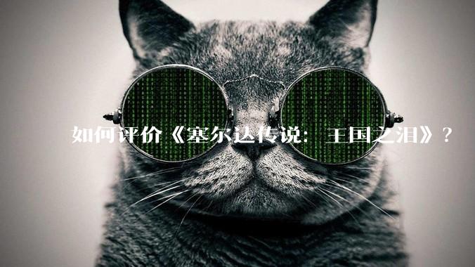 如何评价《塞尔达传说：王国之泪》？