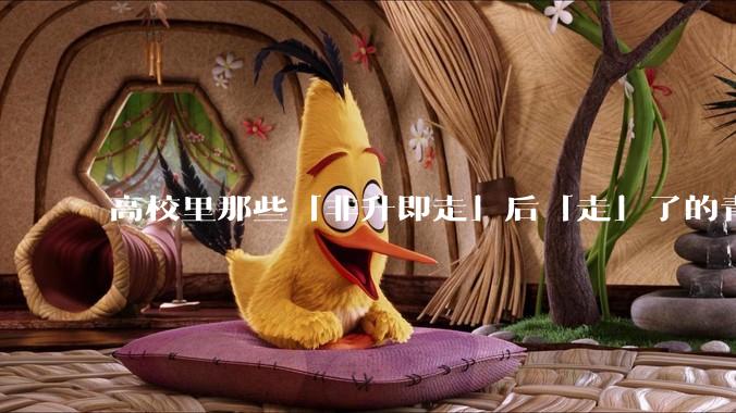 高校里那些「非升即走」后「走」了的青年教师都怎么样了？