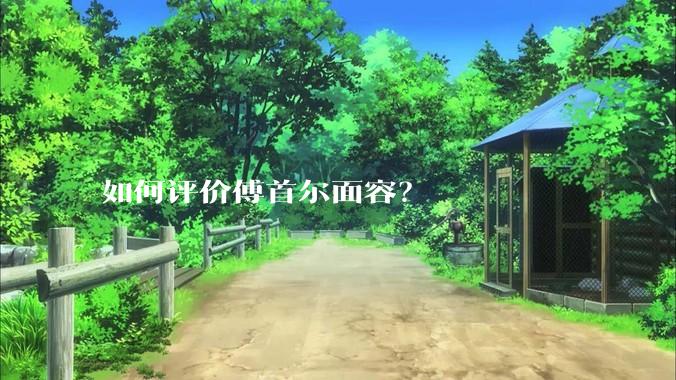 如何评价傅首尔面容？
