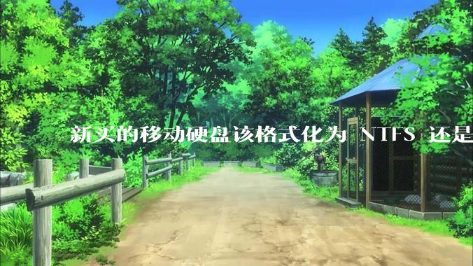 新买的移动硬盘该格式化为 NTFS 还是 exFAT？