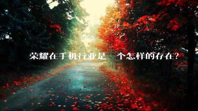 荣耀在手机行业是一个怎样的存在？