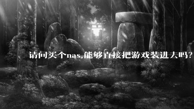 请问买个nas,能够直接把游戏装进去吗？