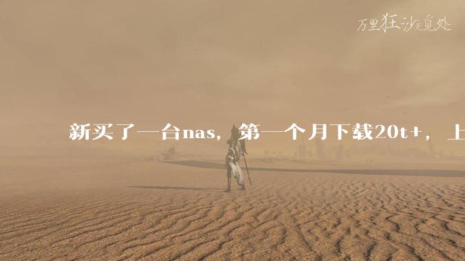 新买了一台nas，第一个月下载20t+，上传5+，不会被网警盯上吧?