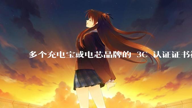 多个充电宝或电芯品牌的 3C 认证证书被暂停，涉及罗马仕、安克、绿联、倍思、安普瑞斯等，发生了什么？