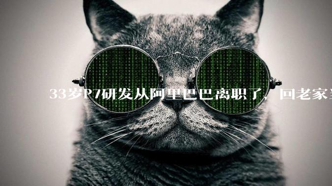 33岁P7研发从阿里巴巴离职了，回老家当个老师怎么样？