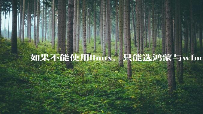 如果不能使用linux，只能选鸿蒙与windows，你会选哪个？