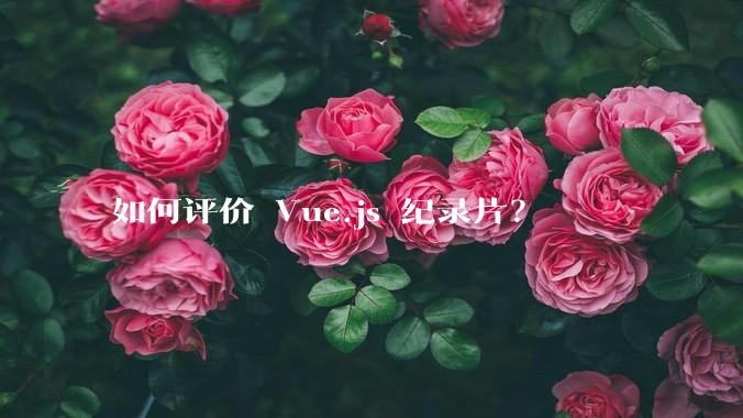 如何评价 Vue.js 纪录片？