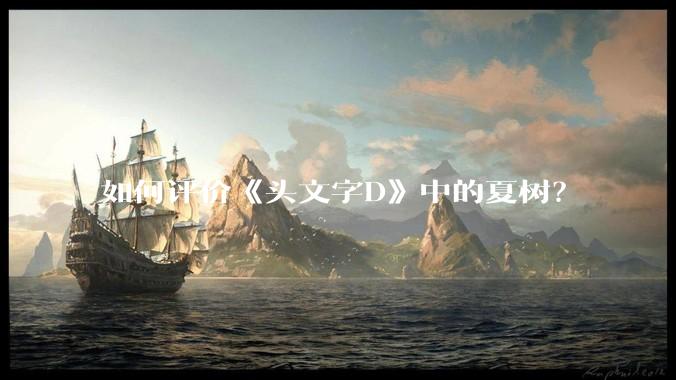 如何评价《头文字D》中的夏树？