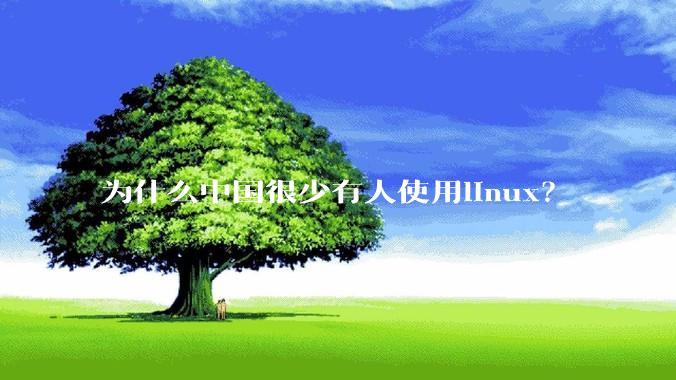 为什么中国很少有人使用linux？