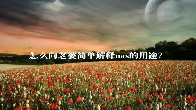 怎么向老婆简单解释nas的用途？