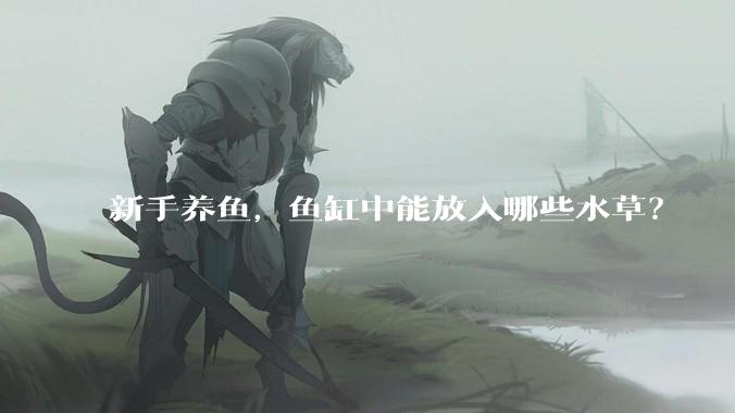 新手养鱼，鱼缸中能放入哪些水草？