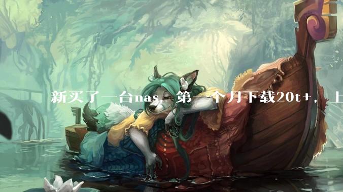 新买了一台nas，第一个月下载20t+，上传5+，不会被网警盯上吧?