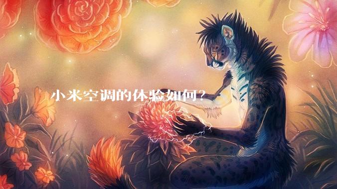 小米空调的体验如何？