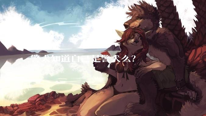 警犬知道自己是警犬么？
