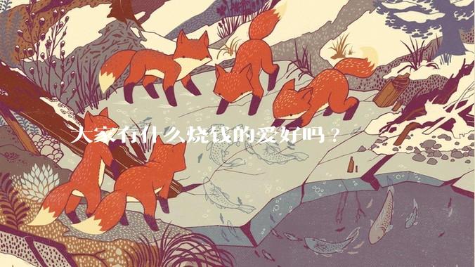 大家有什么烧钱的爱好吗?