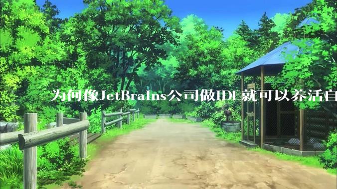 为何像JetBrains公司做IDE就可以养活自己，而国内做大型对公软件都很难养活公司？