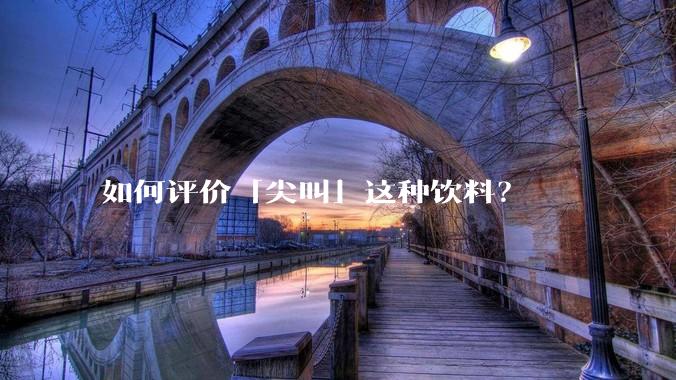 如何评价「尖叫」这种饮料？