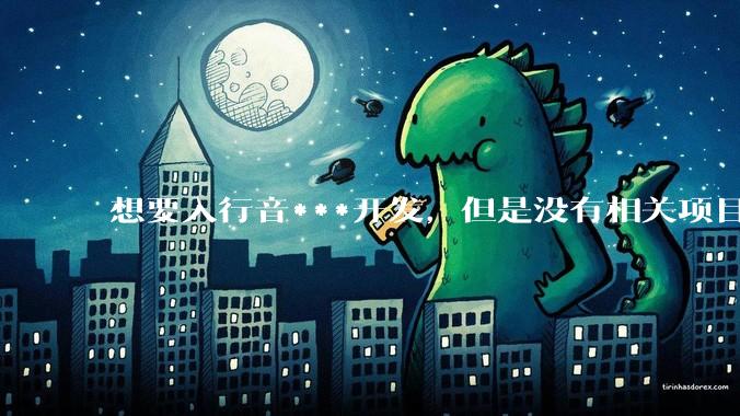 想要入行音***开发，但是没有相关项目经验怎么办？