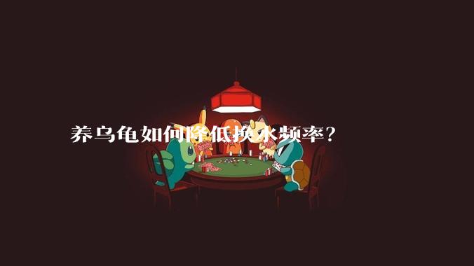 养乌龟如何降低换水频率？